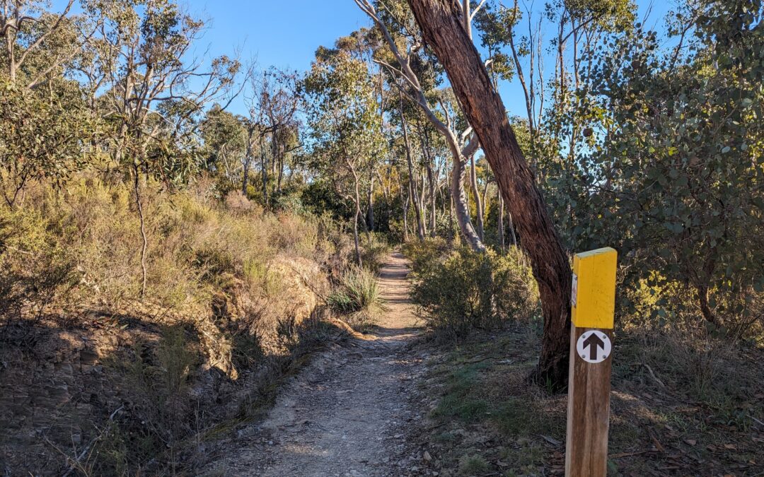 Walk – Exploring Campbells Creek and the Southern Fringes of Castlemaine